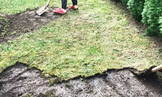Снятие дерна старого газона в Камышине – от 520 руб. | 2Землекопа-Кмш